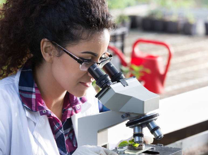 生物化学农药及微生物农药制造